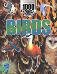 Image of Birds